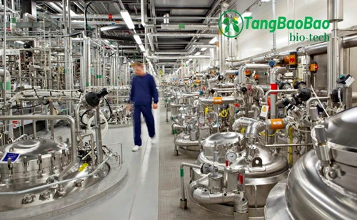 Advancing Reb M Production Through Proprietary Enzyme Technology